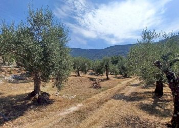 Foto 1 - Terreno agricolo via piccaro
snc, Maenza - foto 1