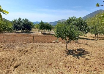 Foto 10 - Terreno agricolo via piccaro
snc, Maenza - foto 10