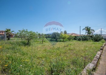 Giardino - Agricultural land Via Delle Arance Rosse
 
13, Grammichele - photo 8
