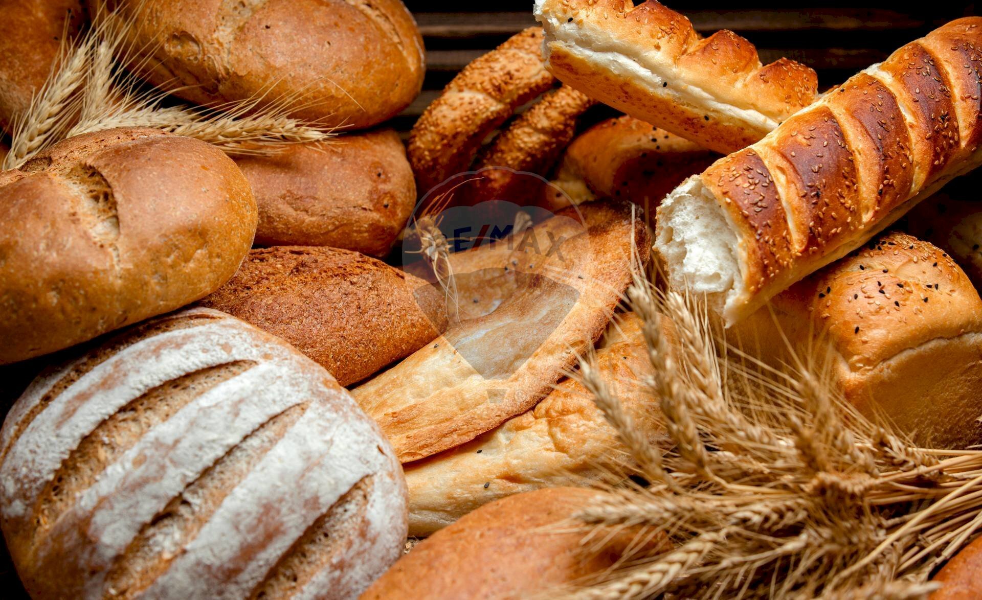 Non correlato - Commercial Activity Indirizzo Non Disponibile, Mascalucia - photo 1