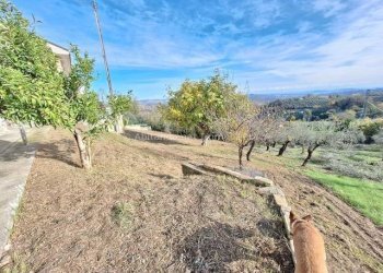 Foto 6 - Casa indipendente Penne - foto 6