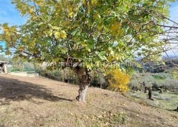 Foto 7 - Casa indipendente Penne - foto 7