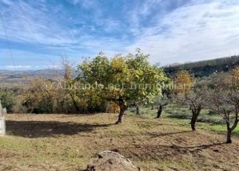 Foto 8 - Casa indipendente Penne - foto 8