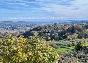 Foto 18 - Casa indipendente Penne - foto 18