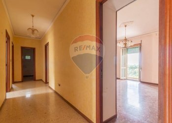 Hall / corridoio - Appartamento Via Aldo Moro
 
snc, Ischia di Castro - foto 6