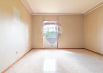 Stanza vuota - Appartamento Via Aldo Moro
 
snc, Ischia di Castro - foto 13