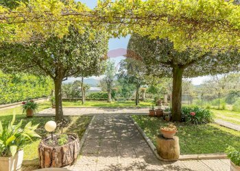 Giardino - Villa via giglio vecchio
 
13, Montefiascone - photo 6