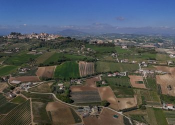 Foto 2 - Rustico contrada caniette, Ripatransone - foto 2