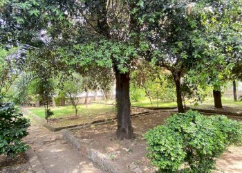 Foto 7 - Four-room apartment Roma - photo 7