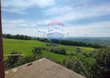 Giardino - Casa indipendente strada comunale casali per San Giovanni In Galdo, San Giovanni in Galdo - foto 7