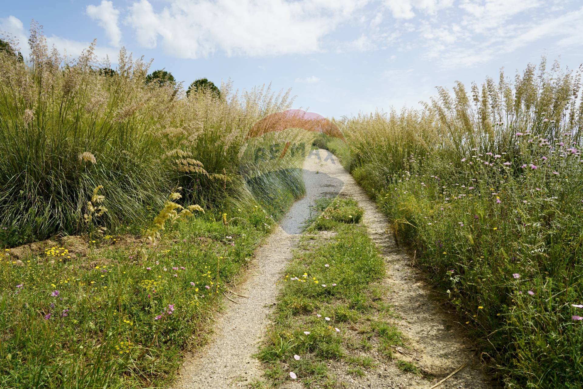 Giardino - Terreno agricolo Contrada parasporino, Enna - foto 1
