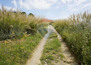 Giardino - Terreno agricolo Contrada parasporino, Enna - foto 1
