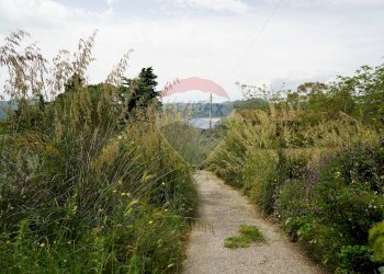 Giardino - Terreno agricolo Contrada parasporino, Enna - foto 5