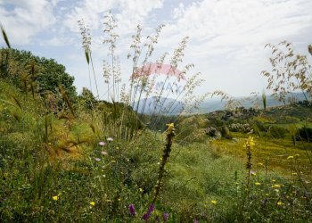 Vista delle montagne - Terreno agricolo Contrada parasporino, Enna - foto 8