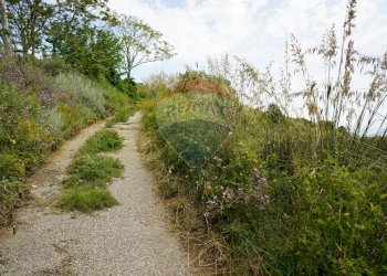 Giardino - Terreno agricolo Contrada parasporino, Enna - foto 9