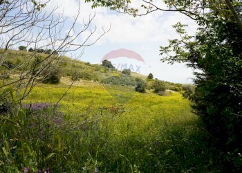 Giardino - Terreno agricolo Contrada parasporino, Enna - foto 12
