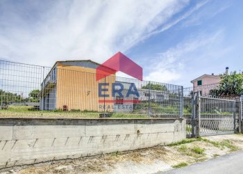 Foto 5 - Locale Commerciale via dei peschi, Ardea - foto 5