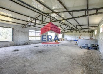 Foto 20 - Locale Commerciale via dei peschi, Ardea - foto 20