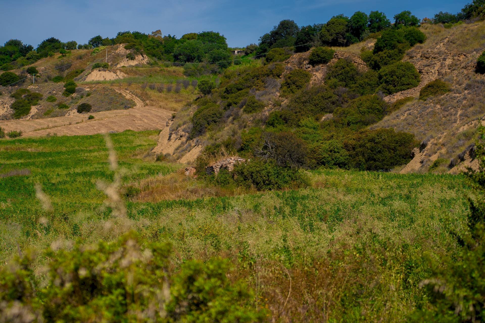 Foto 2 - Farm VIA LA LUNA
 
2, Nova Siri - photo 2