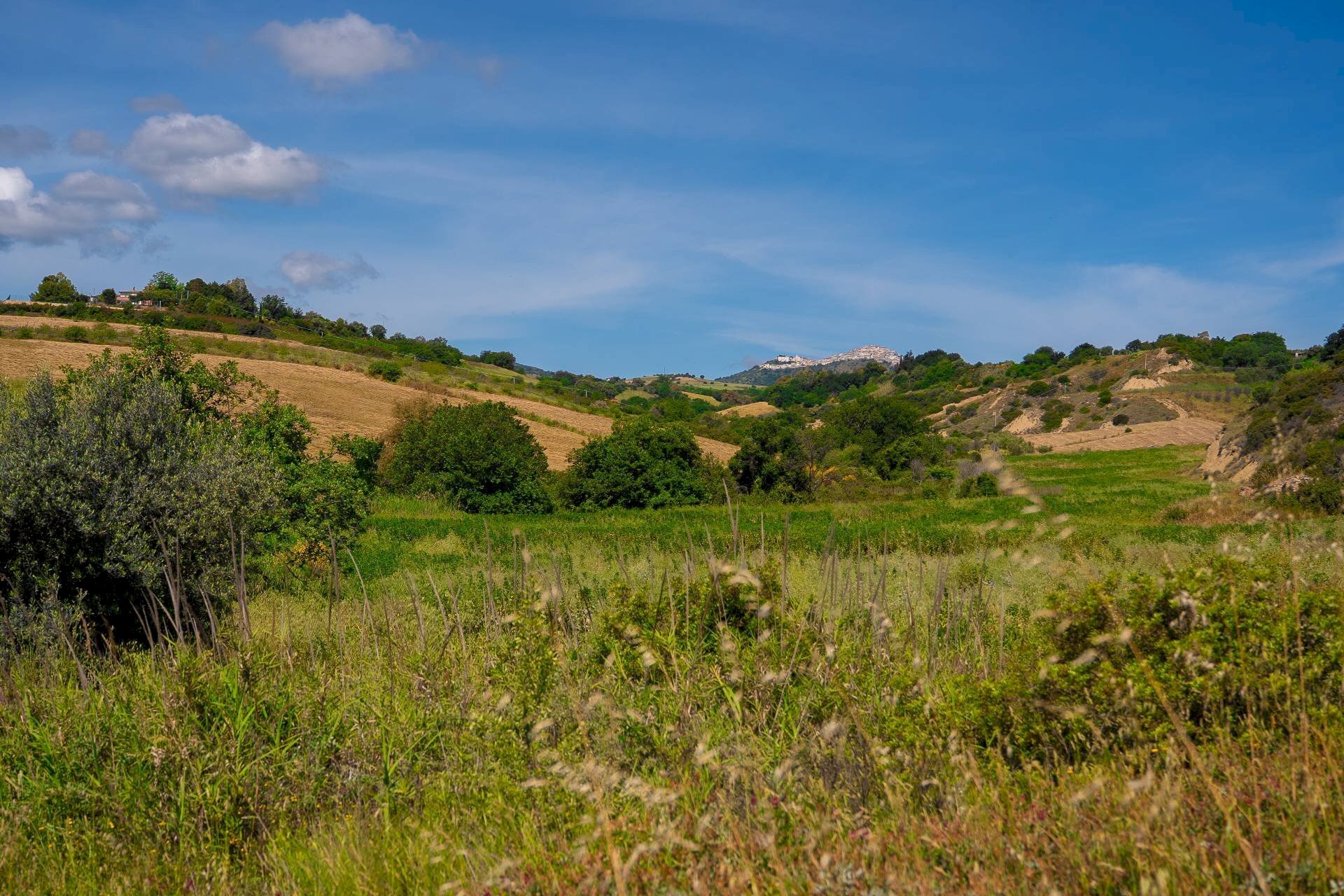 Foto 3 - Farm VIA LA LUNA
 
2, Nova Siri - photo 3