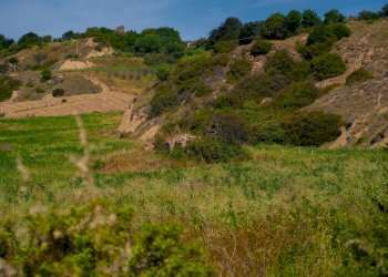 Foto 2 - Farm VIA LA LUNA
 
2, Nova Siri - photo 2