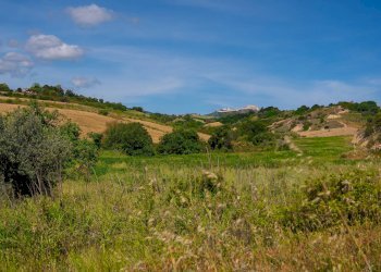 Foto 3 - Farm VIA LA LUNA
 
2, Nova Siri - photo 3