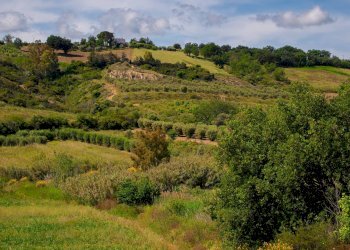 Foto 4 - Farm VIA LA LUNA
 
2, Nova Siri - photo 4