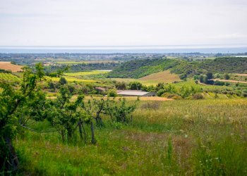 Foto 8 - Farm VIA LA LUNA
 
2, Nova Siri - photo 8