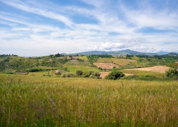 Foto 9 - Farm VIA LA LUNA
 
2, Nova Siri - photo 9