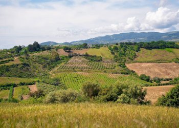 Foto 10 - Farm VIA LA LUNA
 
2, Nova Siri - photo 10