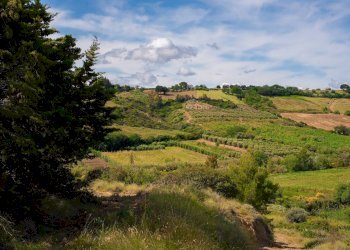 Foto 13 - Farm VIA LA LUNA
 
2, Nova Siri - photo 13