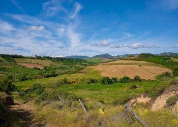 Foto 15 - Farm VIA LA LUNA
 
2, Nova Siri - photo 15