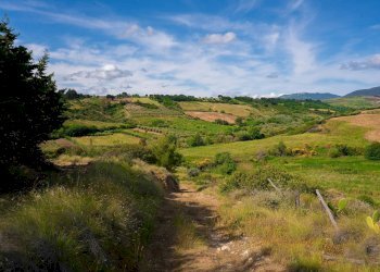 Foto 16 - Farm VIA LA LUNA
 
2, Nova Siri - photo 16