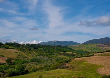 Foto 17 - Farm VIA LA LUNA
 
2, Nova Siri - photo 17