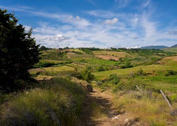 Foto 18 - Farm VIA LA LUNA
 
2, Nova Siri - photo 18