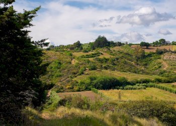 Foto 19 - Farm VIA LA LUNA
 
2, Nova Siri - photo 19