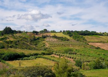 Foto 20 - Farm VIA LA LUNA
 
2, Nova Siri - photo 20