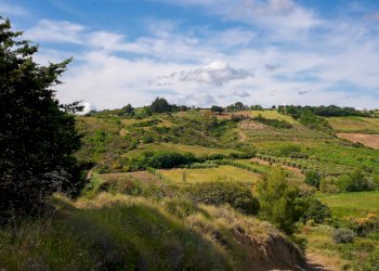 Foto 21 - Farm VIA LA LUNA
 
2, Nova Siri - photo 21