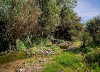 Foto 22 - Farm VIA LA LUNA
 
2, Nova Siri - photo 22