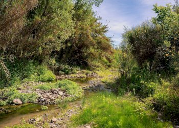 Foto 23 - Farm VIA LA LUNA
 
2, Nova Siri - photo 23