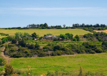 Foto 26 - Farm VIA LA LUNA
 
2, Nova Siri - photo 26