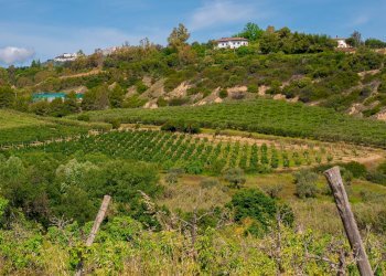 Foto 28 - Farm VIA LA LUNA
 
2, Nova Siri - photo 28