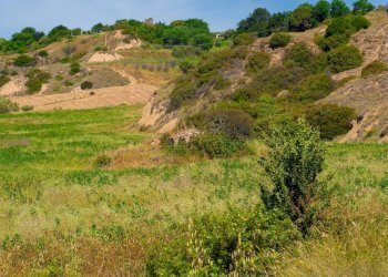 Foto 29 - Farm VIA LA LUNA
 
2, Nova Siri - photo 29