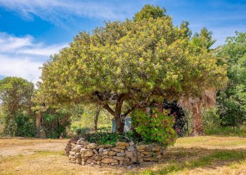 Foto 65 - Farm VIA LA LUNA
 
2, Nova Siri - photo 65