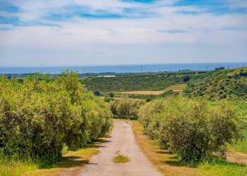 Foto 67 - Farm VIA LA LUNA
 
2, Nova Siri - photo 67