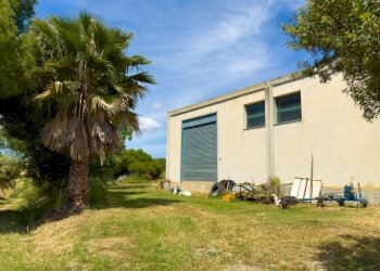 Foto 79 - Farm VIA LA LUNA
 
2, Nova Siri - photo 79