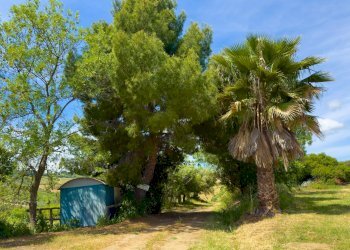 Foto 80 - Farm VIA LA LUNA
 
2, Nova Siri - photo 80