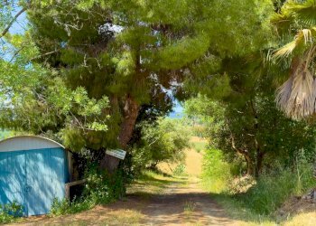 Foto 81 - Farm VIA LA LUNA
 
2, Nova Siri - photo 81