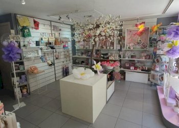 Commercial Activity Venaria Esente dall’obbligo dell’attestazione di prestazione energetica Venaria, Venaria Reale - photo 4