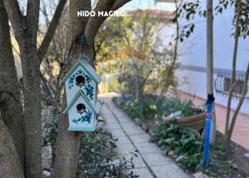 GIARDINO - Villa STRADE DELLE MINIERE
 
9, Scansano - foto 68